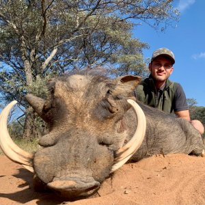 Warthog Hunt South Africa