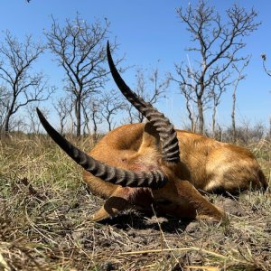 Cob Hunt Cameroon