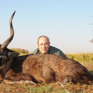 Sitatunga - Zambia