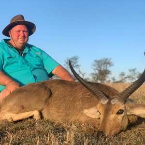 Common Reedbuck Hunt South Africa