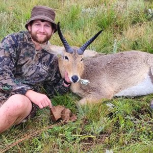 Common Reedbuck Hunt South Africa