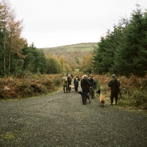 Driven Hunt Ireland