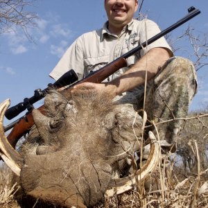 Warthog Hunt South Africa