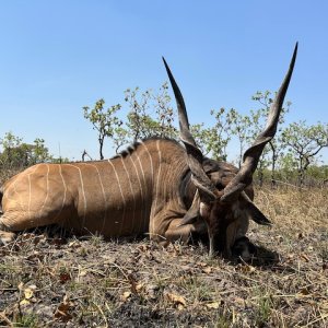 Lord Derby Hunt Cameroon