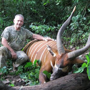 Alain Lefol Hunting Bongo Central African Republic