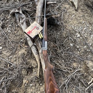 Champuis Elon 450 400 NE Double Rifle