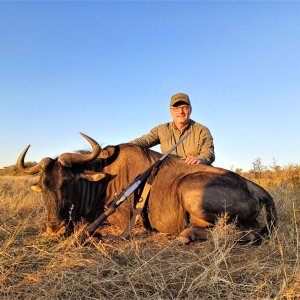 Blue Wildebeest Hunt Namibia