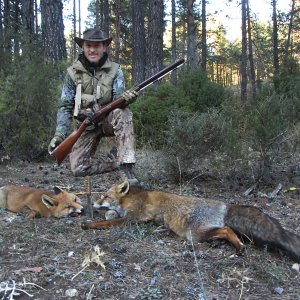 Fox Hunting Spain