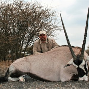 Gemsbok Hunt South Africa