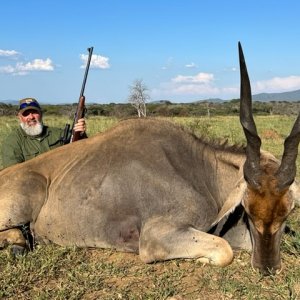 Eland, Limpopo SA