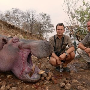 Hippo Hunting Zambia