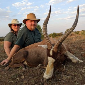 Blesbok Hunting South Africa