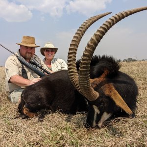 Sable Hunting South Africa