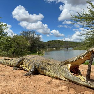 Crocodile Hunt South Africa