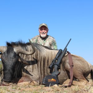 Blue Wildebeest