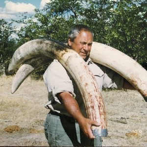 Botswana Ivory