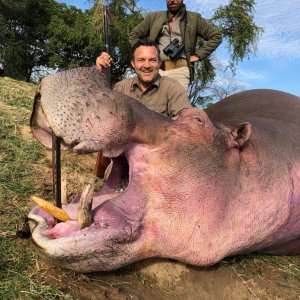 Hippo Hunt Zambia