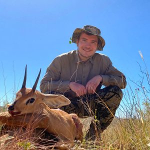 Steenbok Hunt Namibia