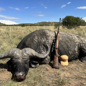 Buffalo Hunting