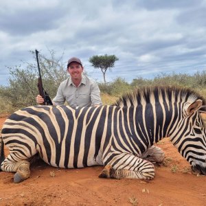 Zebra Hunting South Africa