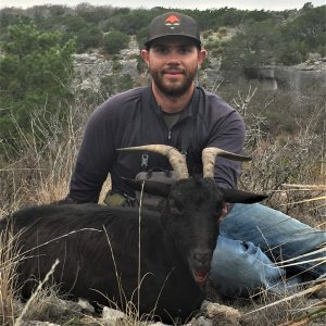 Catalina Goat Hunt Texas