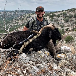 Catalina Goat Hunt Texas