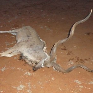59 Inch Kudu Hunt