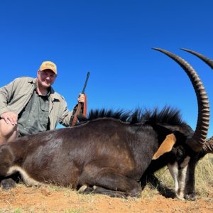 Sable Hunt South Africa