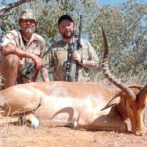 Impala Hunt South Africa