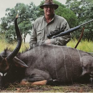 Nyala Hunt  Mozambique