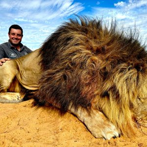 Lion Hunting