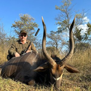 Nyala Hunt South Africa