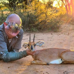 Steenbok Hunting South Africa