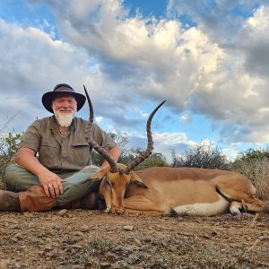 Impala Hunting South Africa