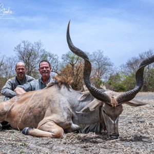 Western Greater Kudu Hunt Chad