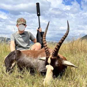 Blesbok Hunt South Africa