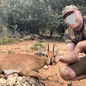 Steenbok Hunt South Africa