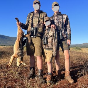 Jackal Hunt South Africa