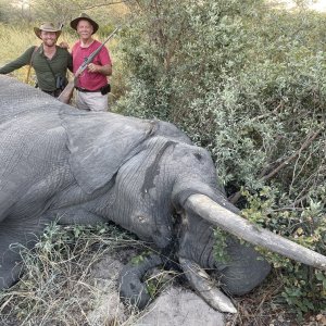Hunting Elephant Botswana