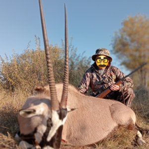 Gemsbok Hunting Limpopo South Africa