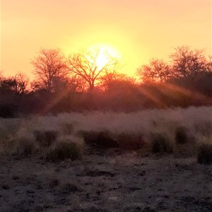 Sunset Limpopo South Africa