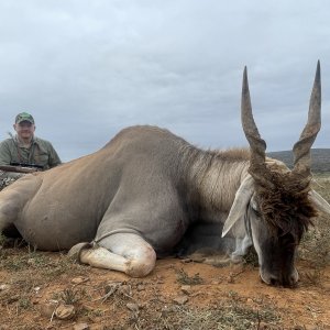 Eland Hunt Eastern Cape South Africa