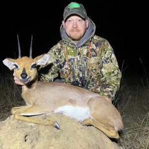 Steenbok Hunt Eastern Cape South Africa