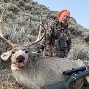 Mule Deer Hunt