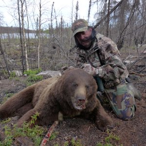 Hunting Bear