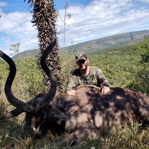 Kudu Hunt Eastern Cape South Affrica