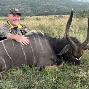 Nyala Hunt Eastern Cape South Affrica
