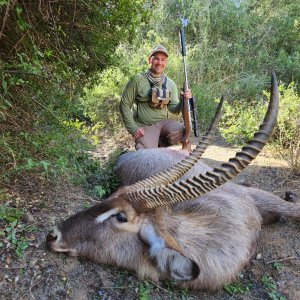 Waterbuck Hunt South Africa