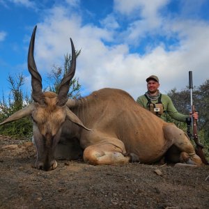 Eland Hunt South Africa