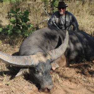 Beautiful gold medal 108" trophy buffalo courtesy of outfitter Karl Goodhand